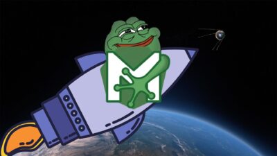 Pepe Coin to Space