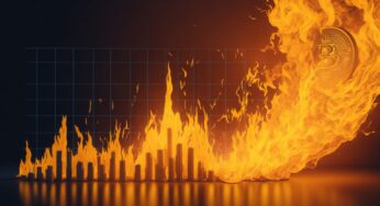 Coin Burning in Cryptocurrency: Its Impact on Price and Market Capitalization