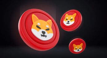 Shiba Inu (SHIB): Understanding The Dogecoin-Inspired Cryptocurrency Phenomenon