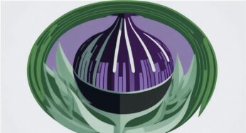 Браузер Tor: Что это такое, как его использовать, сравнение с VPN и его преимущества и недостатки